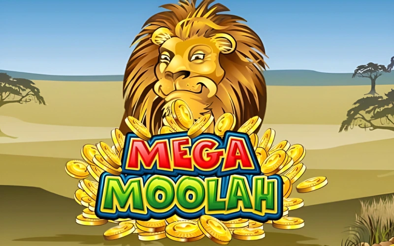 Chase the massive prize in the Mega Moolah slot at Locowin.