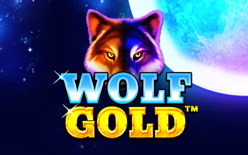 Hunt for prizes in the Wolf Gold slot available at Locowin.